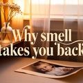 Scent and Memory — Why Smell Takes You Back