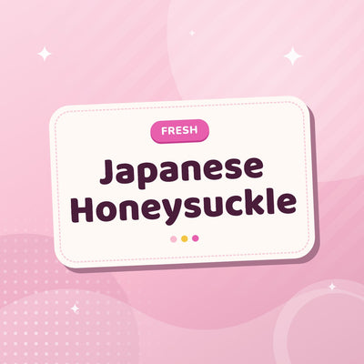 Japanese Honeysuckle