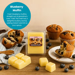 Wax Melts Bundle – 5 Scents (5-Pack)
